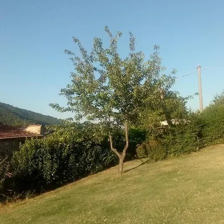 Beb Il Poderino فندق مبيت وإفطار Dicomano